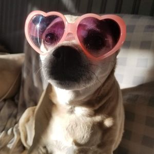 Meet your Posher, Chantele